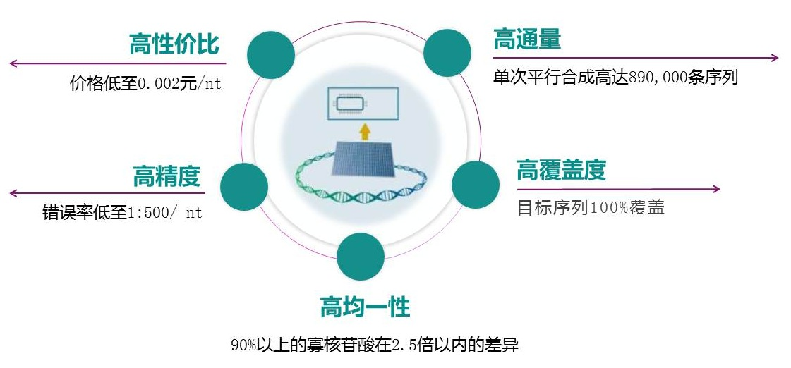 引物池（Oligo Pool）的优势